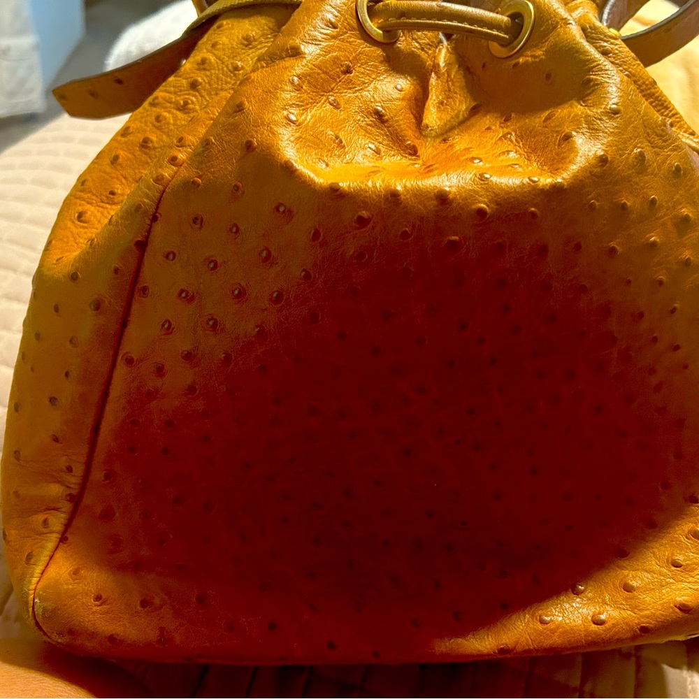 Dooney&Bourke lizard skin handbag.Gently used the inside of the bag is stained.